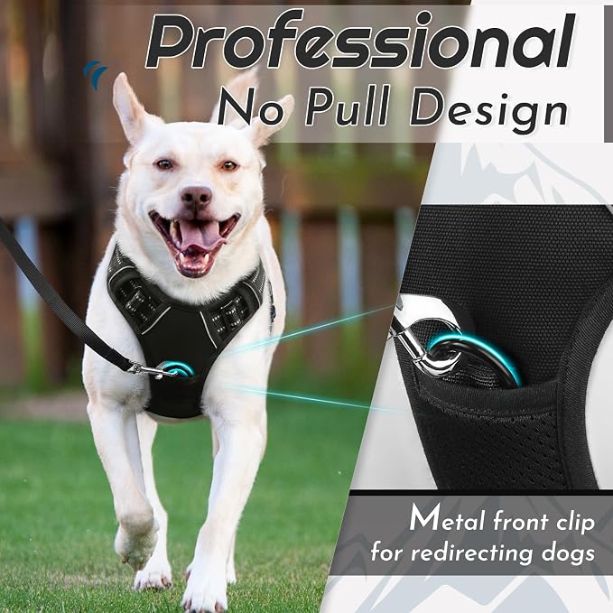 Eagloo Dog Harness for Small Dogs, No Pull Pet Vest with 2 Leash Clips | No Choke with Handle, Adjustable Comfort Fit, Reflective Strips, Easy Walking Control, Black, Small - Image 3