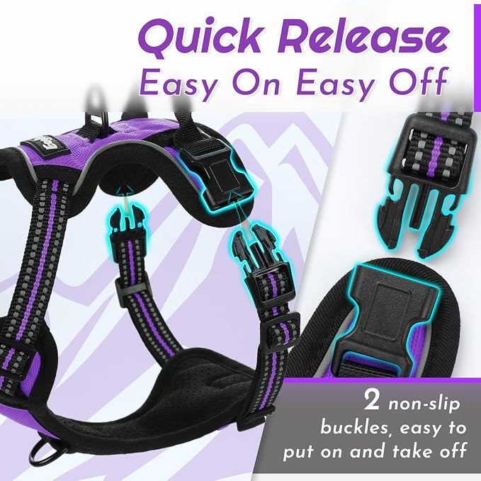Eagloo Dog Harness for Small Dogs, No Pull Pet Vest with 2 Leash Clips | No Choke with Handle, Adjustable Comfort Fit, Reflective Strips, Easy Walking Control, Purple, X-Small - Image 6
