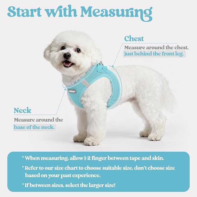 rabbitgoo Dog Harness Small Sized and Leash Set, Step-in Puppy Pet Vest | Light, Soft, Breathable Air Mesh, Easy on and Remove with Hook & Loop, Secure Reflective for Walking, Mint Blue XXXS - Image 2