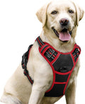 rabbitgoo Dog Harness, No Pull for Large Dogs with 2 Leash Clips, Pet Vest | No Choke with Handle, Adjustable Soft Padded, Reflective, Easy Control for Walking, Black & Red, Large by rabbitgoo