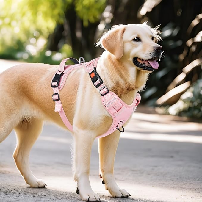 Timos Dog Harness for Large, Reflective No Pull Vest with Handle, Pink, L | Quick Release 3 Buckles, Easy On & Off, No Choke, Adjustable Soft Padded, Front & Back 2 Clips and Control Handle for Walking - Image 6
