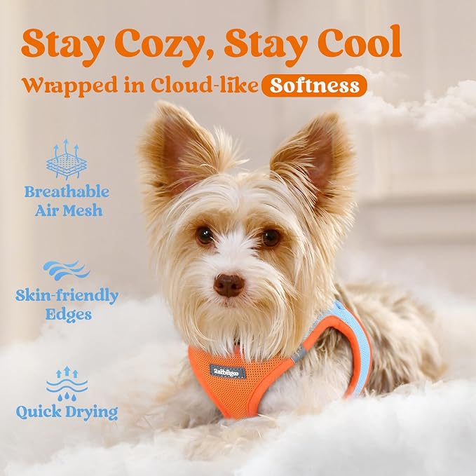 rabbitgoo Step-in Small Dog Harness, Puppy Vest for Small Medium Sized Pet | Easy Put on and off, Lightweight, Soft, Breathable Quick-Dry Air Mesh for Comfortable Secure Walking, Blue & Orange L - Image 3