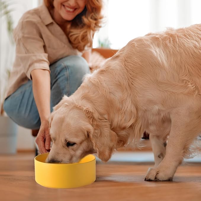 Ceramic Set of 2 Dog Bowls - Classic Dogs Food & Water Bowl for Small and Medium Breed, Heavy-Duty Non-Slip Dog Dishes, Food Grade Pet Bowl, Dishwasher & Microwave Safe (6'', 2*30OZ, Yellow) - Image 7