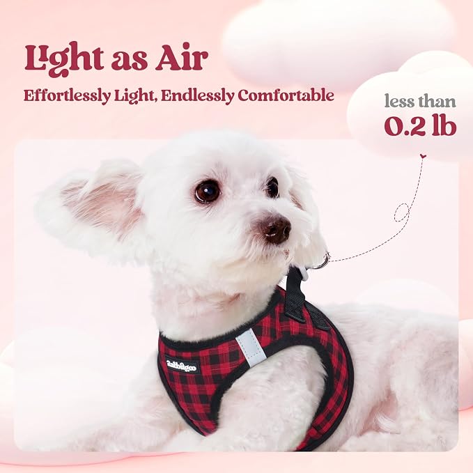 rabbitgoo Dog Harness Small Sized and Leash Set, Step-in Puppy Pet Vest | Light, Soft, Breathable Air Mesh, Easy on and Remove with Hook & Loop, Secure Reflective for Walking, Red Check XS - Image 3