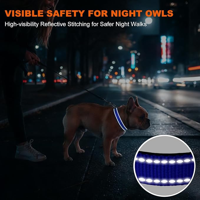 Taglory Reflective Small Dog Collar, Comfortable for Safe Night Walks, Blue | Night-Walk Visibility, Soft Neck Cushioning, Adjustable 10-16 in, Locking Buckle, D-Ring for Leash and ID Tags - Image 5