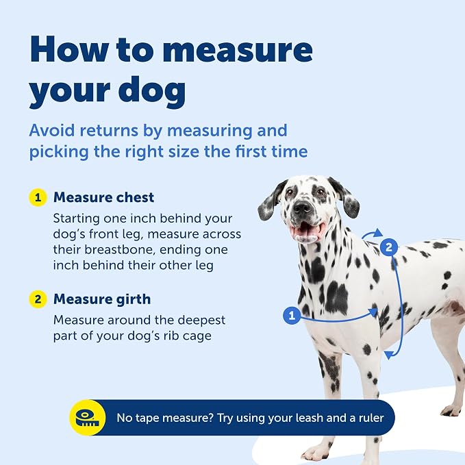 Petsafe Deluxe Easy Walk Harness, Small, Steel Gray, EWH-D-HC-S-STL | Padded Neoprene Straps, Reflective Strips for Night Safety, Martingale Loop Curbs Pulling from the Chest, Not the Throat - Image 9