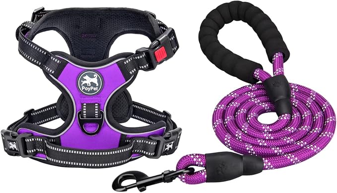 PoyPet Dog Harness and Leash Set, No Pull Vest with Front Clip and Handle | Escape Proof, Reflective, 3 Buckles, 2 D-rings, Adjustable, Soft Padded, 5 Feet Leash, for Walking Training, Purple, S by PoyPet