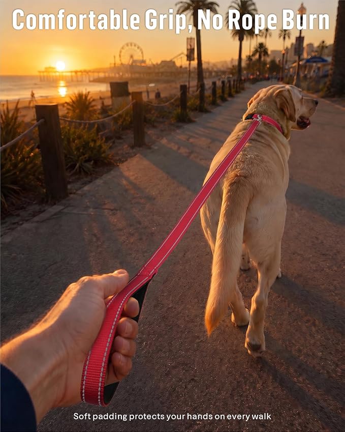 FunTags Reflective Nylon Dog Leash for Medium & Large Dogs, 6FT for Walks | Comfortable Padded Grip, Stay Safe at Night, 360° Anti-Tangle Swivel, for Dog Parks & Trails, Red - Image 2