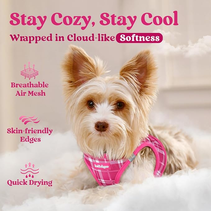 rabbitgoo Step-in Small Dog Harness, Puppy Vest for Small Medium Sized Pet | Easy Put on and off, Lightweight, Soft, Breathable Quick-Dry Air Mesh for Comfortable Secure Walking, Rose Red Plaid L - Image 3