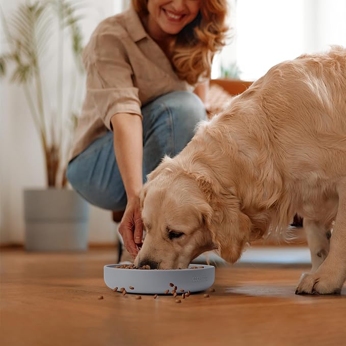 Coomazy Slow Feeder Dog Bowls, Silicone Anti Choking Puzzle Dog Food Bowl | Interactive Pet Slow Eating Bowl,Prevent Overeating Keeps Dogs Busy,for small and large dogs - Image 7