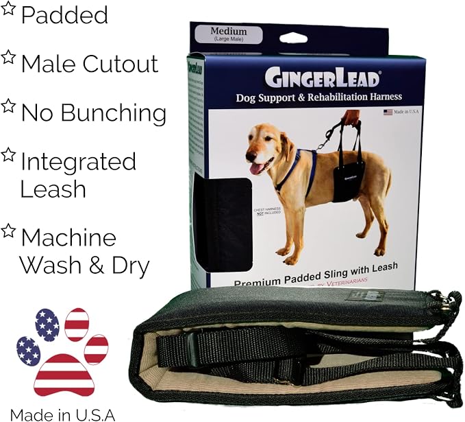 Dog Sling Hind Leg Support, M/LG Unisex with Cutout, Made in USA | Help Pets Walk, K9s Recover from Surgery, Fits Male & Female, Integrated Leash, Machine Wash/Dry, Chest Harness NOT Included - Image 3