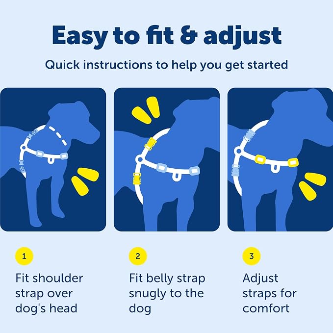 PetSafe Easy Walk Harness, No Pull Dog Harness, Charcoal Gray, Large | Patented Martingale Loop Gives Gradual Shoulder Pressure to Stop Pulling, Front-Chest Leash Clip Prevents Gagging - Image 8