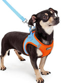rabbitgoo Dog Harness Small Sized and Leash Set, Step-in Puppy Pet Vest | Light, Soft, Breathable Air Mesh, Easy on and Remove with Hook & Loop, Secure Reflective for Walking, Blue & Orange XXXS by rabbitgoo