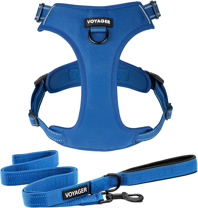 Voyager Dog Harness Dual Leash Attachment No-Pull Control Adjustable Soft but Strong Pet Harness for Medium and Large Dogs with 3M Reflective Technology, Leash Set Royal Nylon, S (Chest: 16-20") by BestPetSuppliesLLC