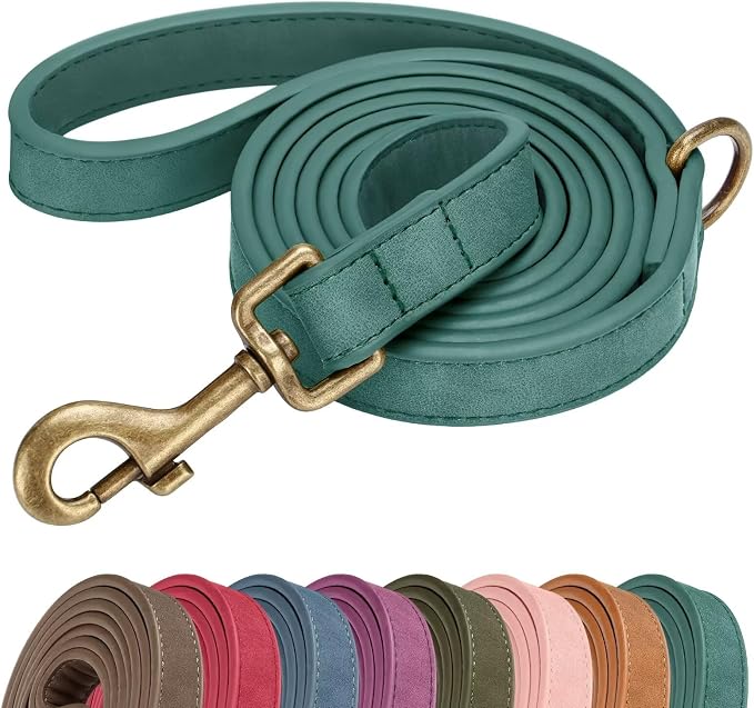 Didog PU Leather Dog Leash for Medium Large Dogs, 3/4in x 5ft, Green | Soft Grip Full Control, Easy Clean, Metal D-ring for Poop Bag Holder, Tangle-Free 360° Swivel Clasp, for Walking & Training by Didog