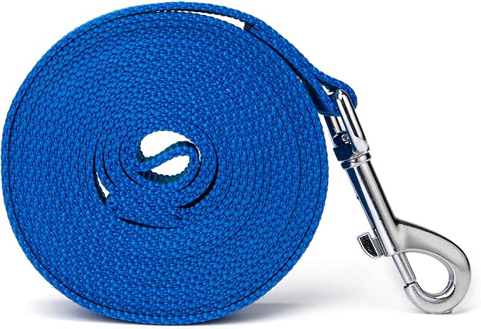 Strong Durable Nylon Dog Training Leash, 1 Inch Wide Traction Rope, 6 ft 10ft 15ft Long, for Small and Medium Dog (Blue, 10 Feet) - Image 7