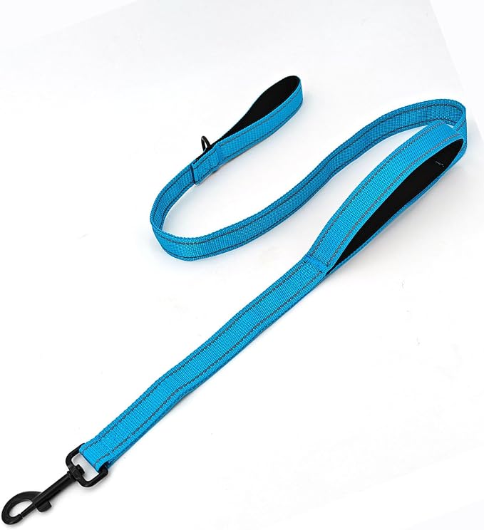 Solmoony 4FT Blue Strong Dog Leash with 2 Padded Handles, Traffic Handle Extra Control, Double-Sided Reflective Walking Lead for Small Medium and Large Dogs(Blue, 4FT) by SOLMOONY