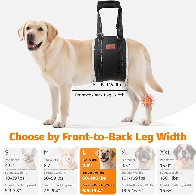 LOOBANI Dog Sling for Large Dogs Hind Leg Support Injury Rehabilitation | Walking & Stair Assistance, Senior Dog Mobility, Padded Comfort, Adjustable Fit, Lightweight Nylon, Soft Plush Lining - Image 5