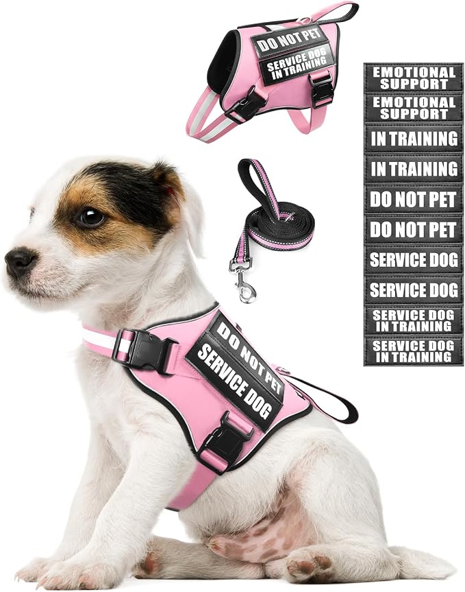 Small Service Dog Vest Harness and Leash Set+10 Patches Pink XS | Adjustable Reflective Do Not Pet Emotional Support Dog Vest with 2 Soft Padded Handle,MOLLE,for Everyday Training Hiking by MOOGROUPETSFRIEND