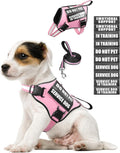 Small Service Dog Vest Harness and Leash Set+10 Patches Pink XS | Adjustable Reflective Do Not Pet Emotional Support Dog Vest with 2 Soft Padded Handle,MOLLE,for Everyday Training Hiking by MOOGROUPETSFRIEND