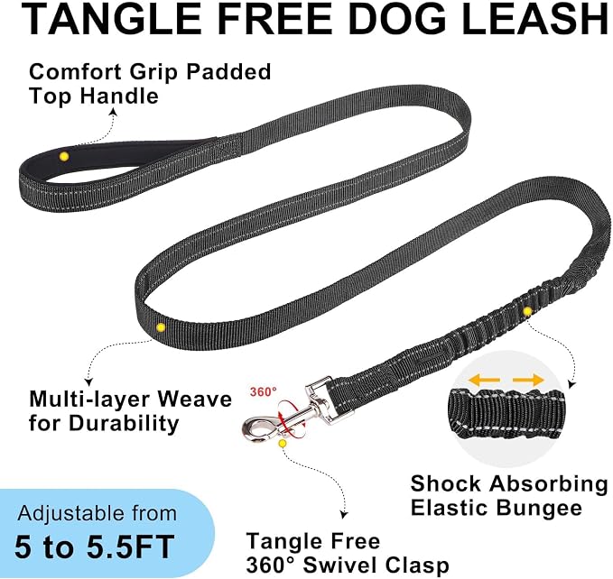 BEAUTYZOO Small Dog Harness and Leash Set, No Pull Step in Puppy Vest | Breathable Mesh with Handle, Reflective, Adjustable No Choke Escape Proof, Lightweight, Easy Control for Walking, Black XS - Image 8