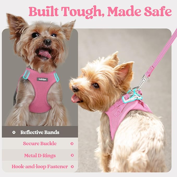 rabbitgoo Dog Harness Medium Sized and Leash Set, Step-in Puppy Pet Vest | Light, Soft, Breathable Air Mesh, Easy on and Remove with Hook & Loop, Secure Reflective for Walking, Light Pink XL - Image 8