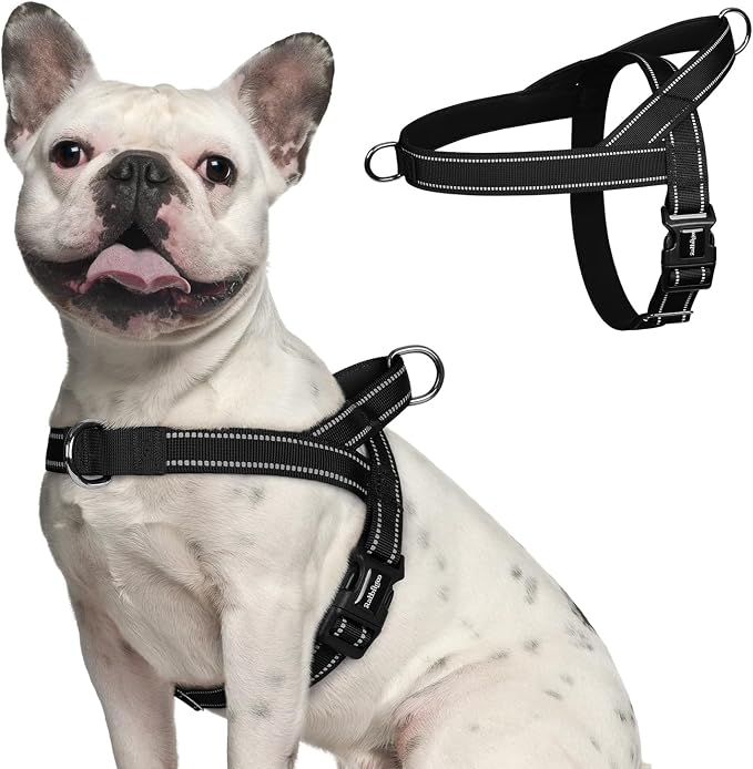 rabbitgoo Dog Harness No Pull, Quick Fit for Medium Sized Dog, Reflective | Chest Adjustable Pet Vest with Soft Padded Handle, No Choke Escape Proof for Walking Training, Black M by rabbitgoo