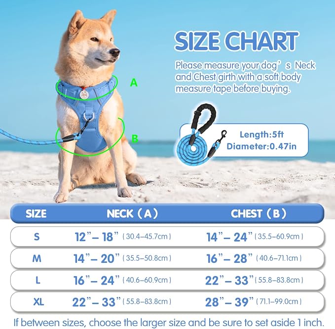 PoyPet Dog Harness and Leash Set, No Pull Vest with Front Clip and Handle | Escape Proof, Reflective, 3 Buckles, 2 D-rings, Adjustable, Soft Padded, 5 Feet Leash, for Walking Training, Light Blue, L - Image 6