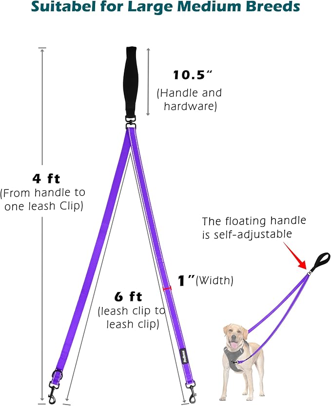 PetBonus Two Point Control Dog Leash, No Tangle Training Walking Leashes | Soft Padded Handle, Reflective, Works with No Pull Harnesses, Converts to Single Lead for Medium Large Dogs, Purple - Image 4