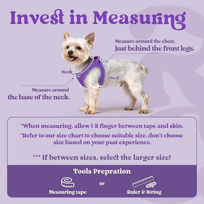 rabbitgoo Step-in Small Dog Harness, Puppy Vest for Medium Sized Pet | Easy Put on and off, Lightweight, Soft, Breathable Quick-Dry Air Mesh for Comfortable Secure Walking, Purple XXL - Image 2