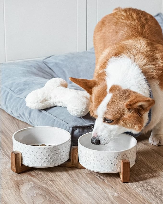 LE TAUCI Dog Bowls Ceramic for Small Medium Dogs - 4-Cup Dual Food & Water Bowl Set with Acacia Wood Stand, Non-Slip Anti-Tip Elevated Design - Image 4