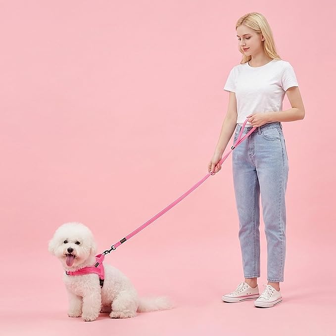 Didog 6FT Reflective Dog Leash for Small Medium Dogs, Slim 5/8" Width, Pink | Soft Padded Handle, Plush Comfort Grip, Tangle-Free, 360° Swivel Clasp for Daily Walking and Training, Night Safety - Image 3