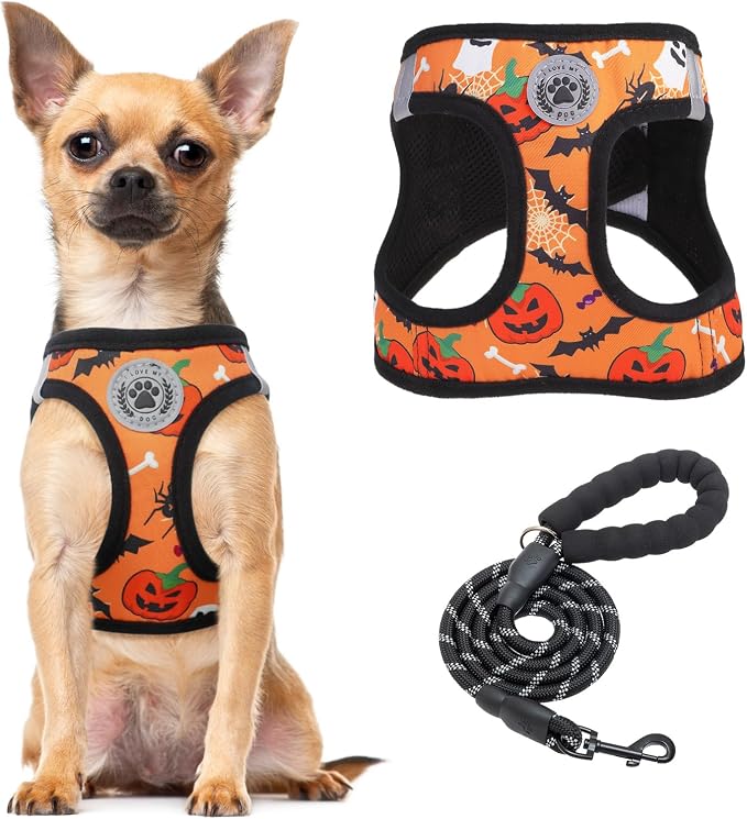 BEAUTYZOO Halloween Dog Harness Medium Sized and Leash Set,No Pull Pet Vest | Step-in Easy On/Off, All Season Breathable Mesh,Escape-Proof Hook & Loop,Lightweight Reflective,No Choke,Easy Walking Control by BEAUTYZOO