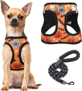 BEAUTYZOO Halloween Dog Harness Medium Sized and Leash Set,No Pull Pet Vest | Step-in Easy On/Off, All Season Breathable Mesh,Escape-Proof Hook & Loop,Lightweight Reflective,No Choke,Easy Walking Control by BEAUTYZOO