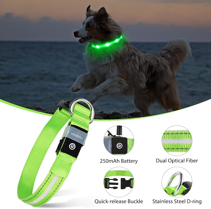 MASBRILL Led Dog Collar, Rechargeable Water-Resistant Night Safety Collar - Image 3