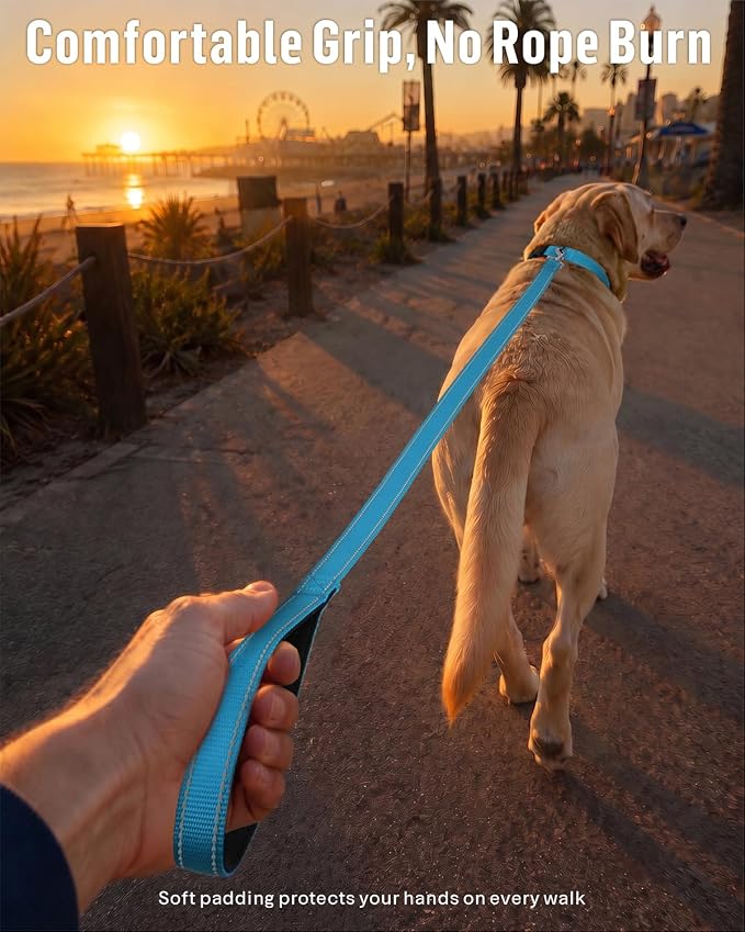 FunTags Reflective Nylon Dog Leash for Medium & Large Dogs, 6FT for Walks | Comfortable Padded Grip, Stay Safe at Night, 360° Anti-Tangle Swivel, for Dog Parks & Trails, Sky Blue - Image 2