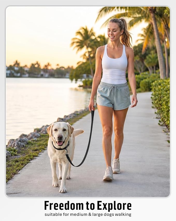 FunTags Reflective Nylon Dog Leash for Medium & Large Dogs, 6FT for Walks | Comfortable Padded Grip, Stay Safe at Night, 360° Anti-Tangle Swivel, for Dog Parks & Trails, Black - Image 5