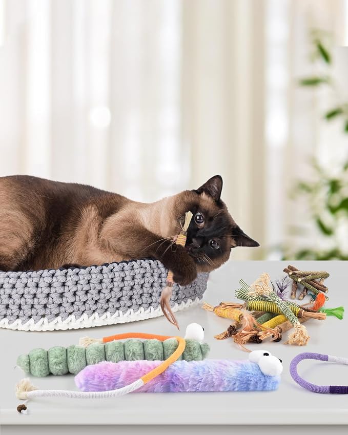 Bissap 20 PCS Silvervine Chew Sticks for Cats, Catnip Chew Ropes Cat Toys for Indoor Cat Kitten Teeth Grinding Interactive Feather Toys for Aggressive Chewers Dental Care - Image 5
