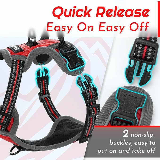 Eagloo Dog Harness for Small Dogs, No Pull Pet Vest with 2 Leash Clips | No Choke with Handle, Adjustable Comfort Fit, Reflective Strips, Easy Walking Control, Red, X-Small - Image 6