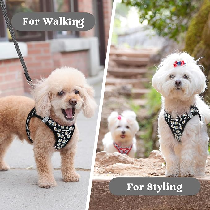 rabbitgoo Step-in Small Dog Harness, Puppy Vest for Small Sized Pet | Easy Put on and off, Lightweight, Soft, Breathable Quick-Dry Air Mesh for Comfortable Secure Walking, Midnight Daisy M - Image 9