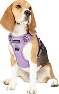 Dog Harness No Pull, Adjustable Pet Vest Harness, Super Soft Material with Vertical Handle Easy Control, Reflective Night Walking, 2 Leash Clips for Medium Sized Dogs, Purple, M by MyFUNFOX