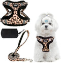 PUPTECK Dog Harness and Leash Set Small Sized, Step in No Pull Adjustable Puppy Cat Harness Reflective Pet Vest by PUPTECK