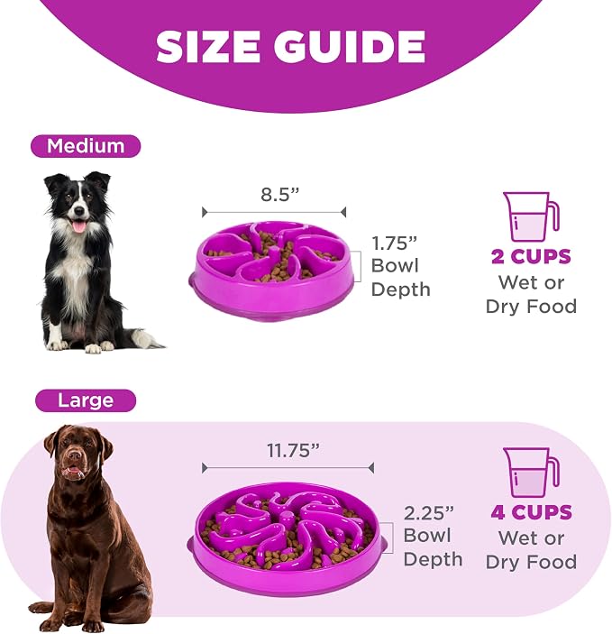 Outward Hound Fun Feeder Slo Bowl – Large 4‑Cup Capacity, Slow Feeding, Medium to Large Dogs, Non‑Slip, Purple, Flower Pattern | Slows Fast Eaters, Can Aid Digestion, Holds 4 Cups Dry or Wet Food, Non-Slip Base, Easy Clean, No BPA, Medium to Large Dogs - Image 5