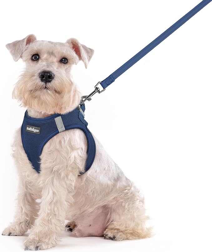 rabbitgoo Dog Harness Medium Sized and Leash Set, Step-in Puppy Pet Vest | Light, Soft, Breathable Air Mesh, Easy on and Remove with Hook & Loop, Secure Reflective for Walking, Navy Blue XXL by rabbitgoo
