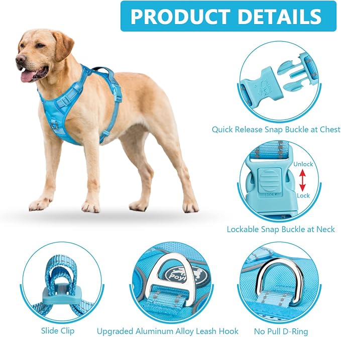 PoyPet No Pull Dog Harness, Reflective Vest with 2 Leash Clips & Handle | Lockable Neck Release Buckle, No Choke, Adjustable, Soft Padded, for Walking Training, Blue, Medium - Image 7