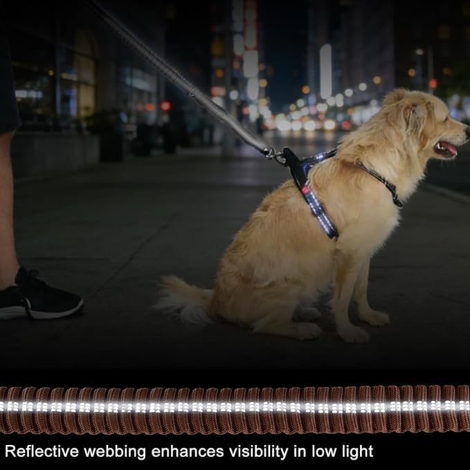 Dog Leash Heavy Duty, Bungee Leash Reflective Car Seat Belt for Dogs Brown | 4-6FT Strong Shock Absorbing Tactical with 2 Padded Handles, Dog Tug Lead for L XLarge Dogs Walking Running Training - Image 6
