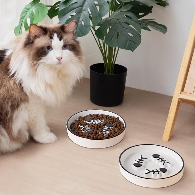 Ceramic Cat Bowls Set, Whisker-Friendly Feeding Dishes, Wet & Dry Food, 2-Pack - Image 4