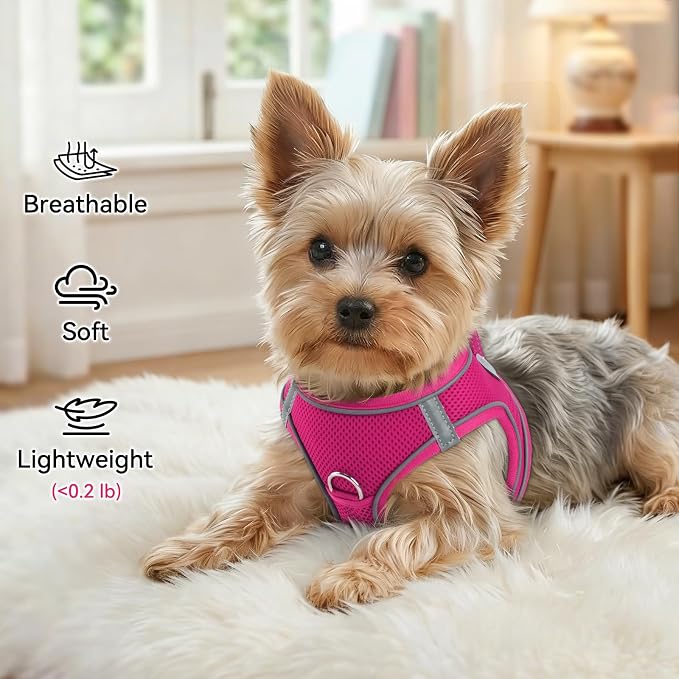 Joytale Step-in Dog Harness, Soft Breathable Mesh, Hot Pink XXXS | Adjustable Fit for Small Dogs, Easy Step-in with Secure Fastener, Even Chest Pressure, Reflective For Night Safety, Washable - Image 4