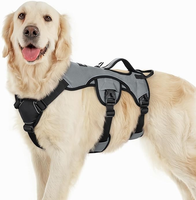 rabbitgoo Escape Proof Dog Harness for Large, No Pull with Lift Handle | No Escape, Full Soft Padded, Reflective Adjustable Vest, Leash Clip for Walking Hiking Training, Grey, Large by rabbitgoo