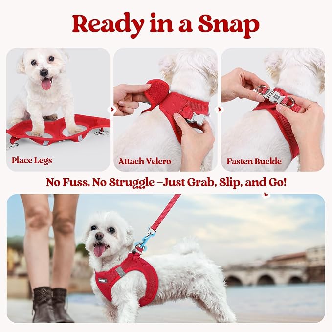 rabbitgoo Dog Harness Medium Sized and Leash Set, Step-in Puppy Pet Vest | Light, Soft, Breathable Air Mesh, Easy on and Remove with Hook & Loop, Secure Reflective for Walking, Red XXL - Image 8